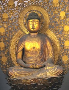 golden amida